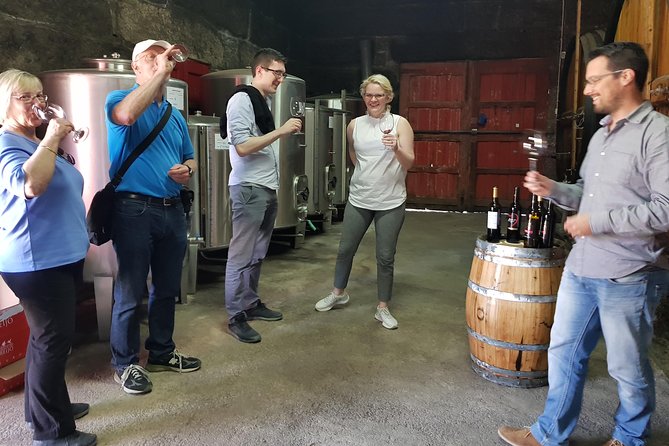 Douro Valley Tour: 2 Vineyard Visits, River Cruise, Winery Lunch - First tasting near Lamego