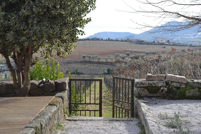 Douro Valley Tour: 2 Vineyard Visits, River Cruise, Winery Lunch - A short cruise from Pinhão