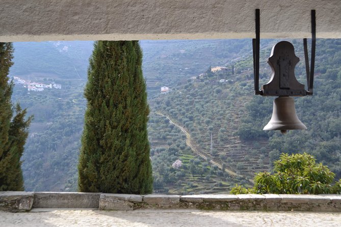 Douro Valley Tour: 2 Vineyard Visits, River Cruise, Winery Lunch - Lunch at a winery near Sabrosa