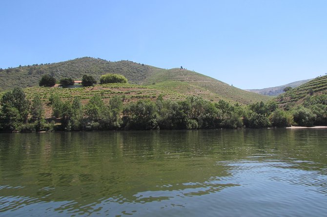 Douro Valley Tour: 2 Vineyard Visits, River Cruise, Winery Lunch - Leaving Porto for the Douro Valley