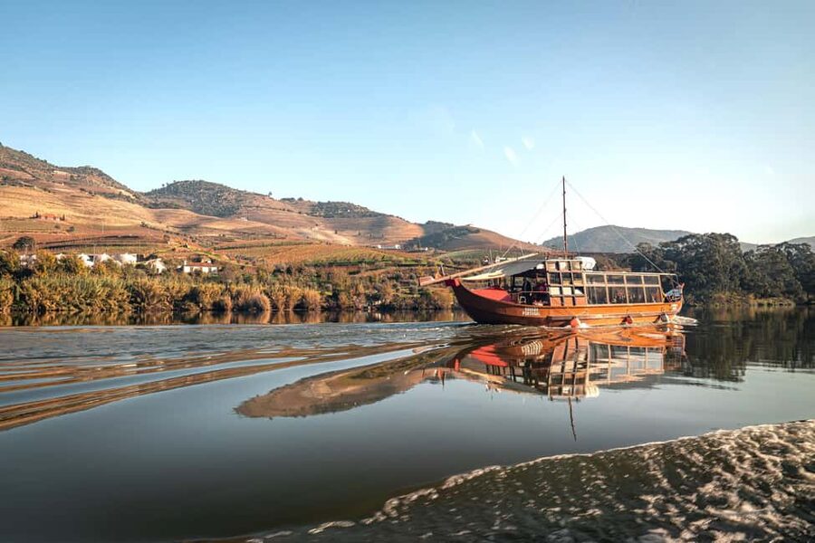 Douro Valley Tour: Visit 2 Wineries, Lunch & River Cruise - The scenic road into wine country