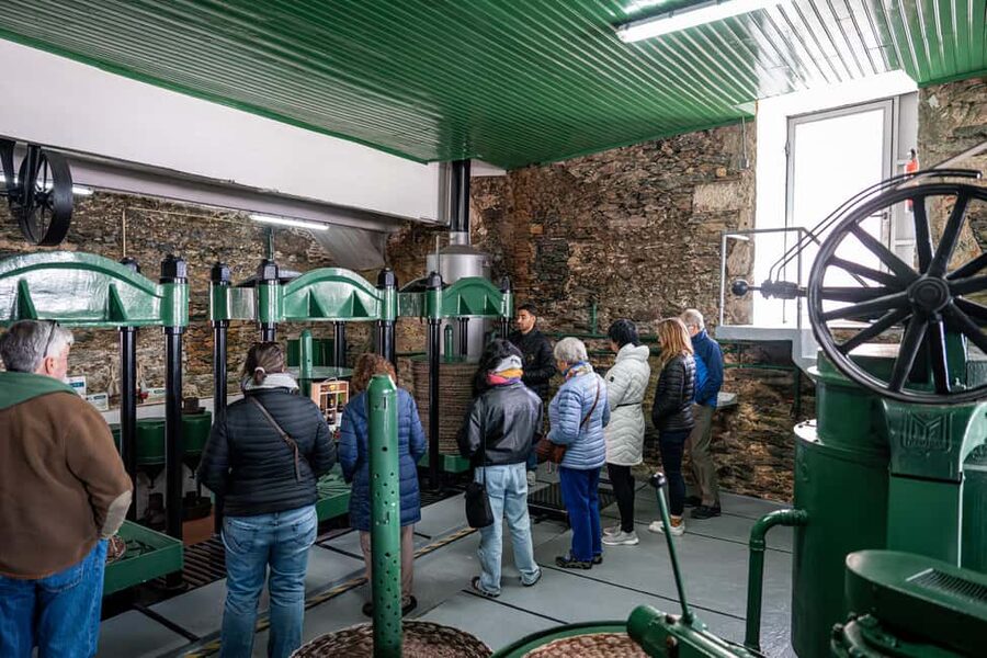 Douro Valley Tour: Visit 2 Wineries, Lunch & River Cruise - Two estates, two sides of Douro wine