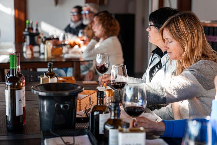 Douro Valley Tour: Visit 2 Wineries, Lunch & River Cruise - The guides make the long day work