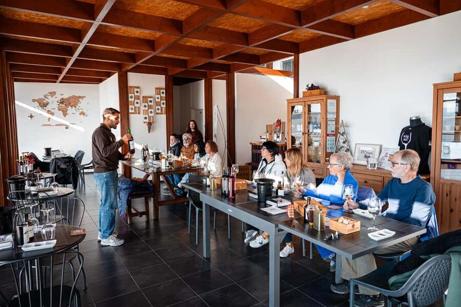 Douro Valley Tour: Visit 2 Wineries, Lunch & River Cruise - What $116 buys you