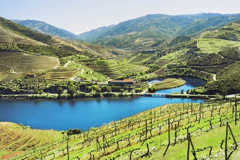 Douro Valley Tour: Visit 2 Wineries, Lunch & River Cruise - Meeting your guide beside Palácio da Bolsa