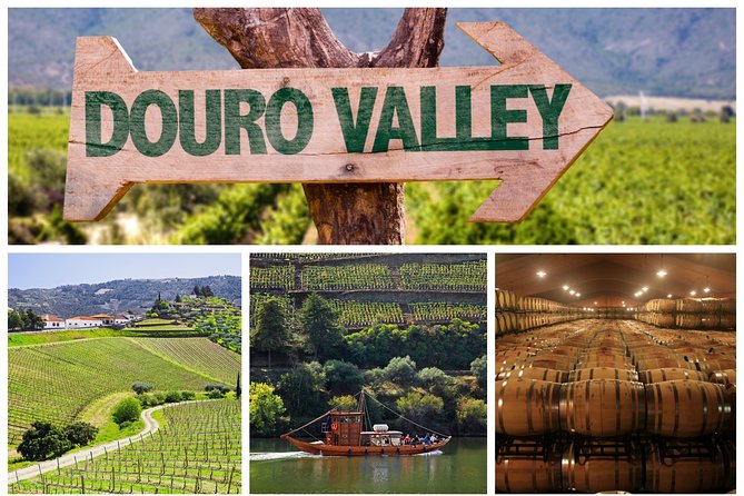 Douro Valley Tour: Wine Tasting, Cruise and Lunch from Porto - Why the Douro Valley works best as a full-day outing