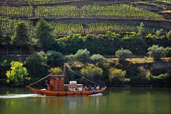Douro Valley Tour: Wine Tasting, Cruise and Lunch from Porto - How to prepare for the $84.65 price