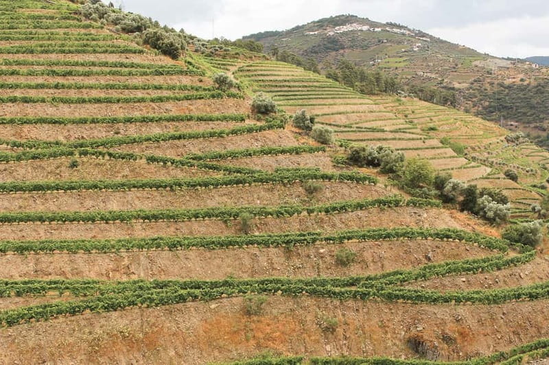 Douro Valley: Tour with Wine Tastings, Lunch, and Boat Ride - Pinhão and the one-hour boat ride