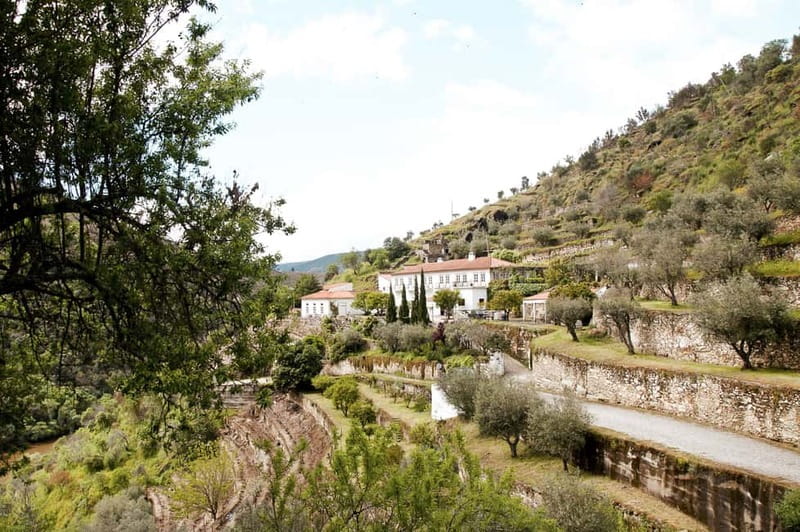 Douro Valley: Tour with Wine Tastings, Lunch, and Boat Ride - The return journey and the value of a small van