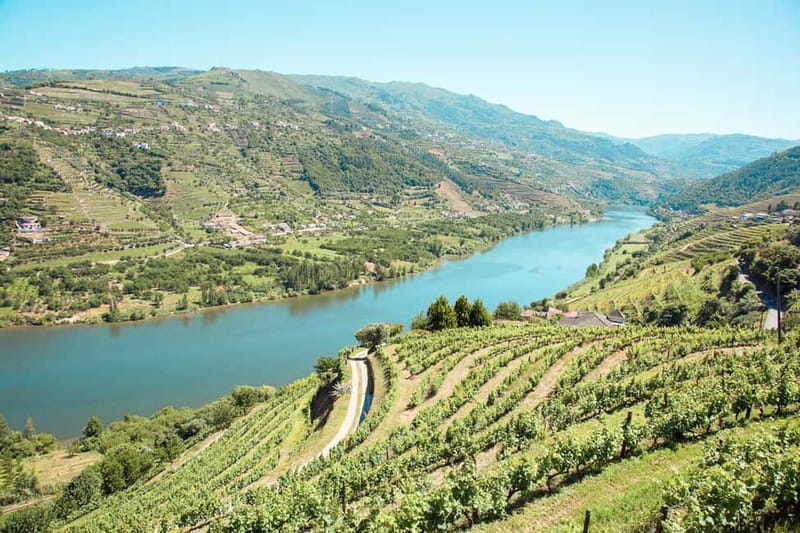 Douro Valley: Tour with Wine Tastings, Lunch, and Boat Ride - The drive from Porto to the Douro Valley