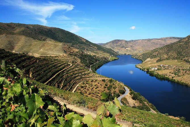 Douro Valley Wine Tour: 3 Vineyard Visits, Wine Tastings, Lunch - Why the Douro Valley makes a fine day trip from Porto