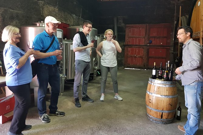 Douro Valley Wine Tour: 3 Vineyard Visits, Wine Tastings, Lunch - Folgosa and the historic estate