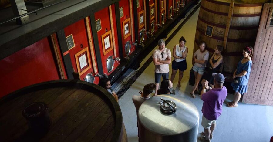 Douro Valley: Winery Tour at Quinta do Tedo and Tastings - The 30-minute tasting with Douro River views