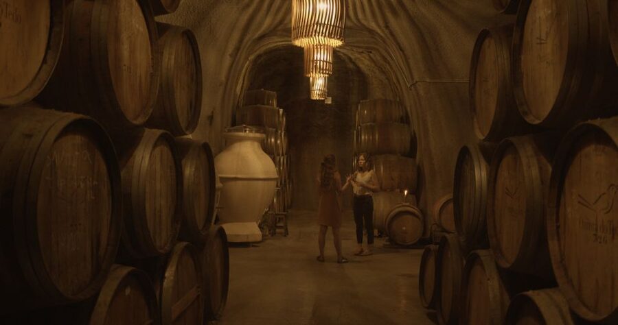 Douro Valley: Winery Tour at Quinta do Tedo and Tastings - Is $42 a fair price?