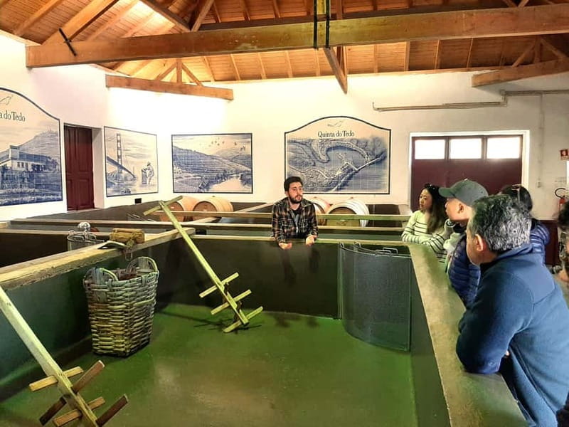 Douro Valley: Winery, Traditional Lunch & Private Boat Trip - Why this Douro Valley day feels different