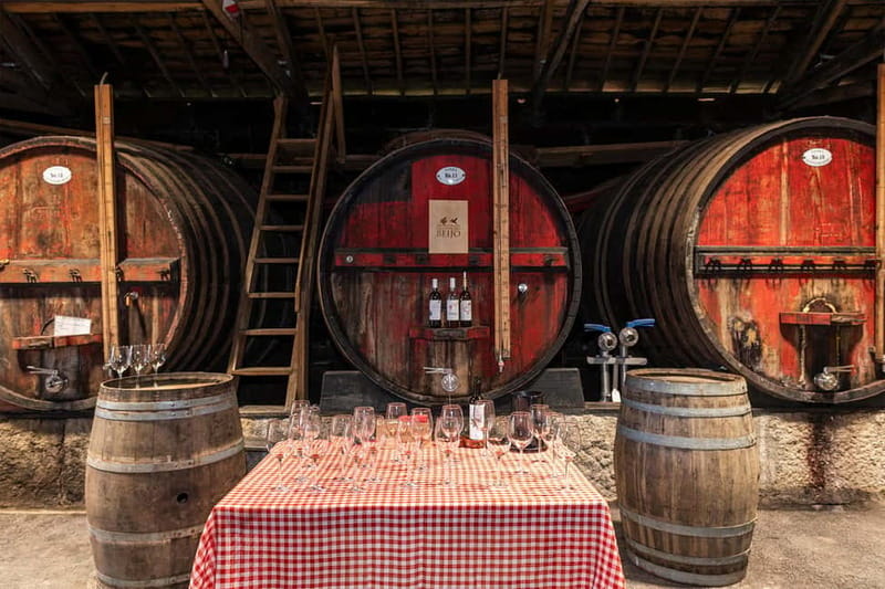 Douro Valley: Winery, Traditional Lunch & Private Boat Trip - What the $223 price includes