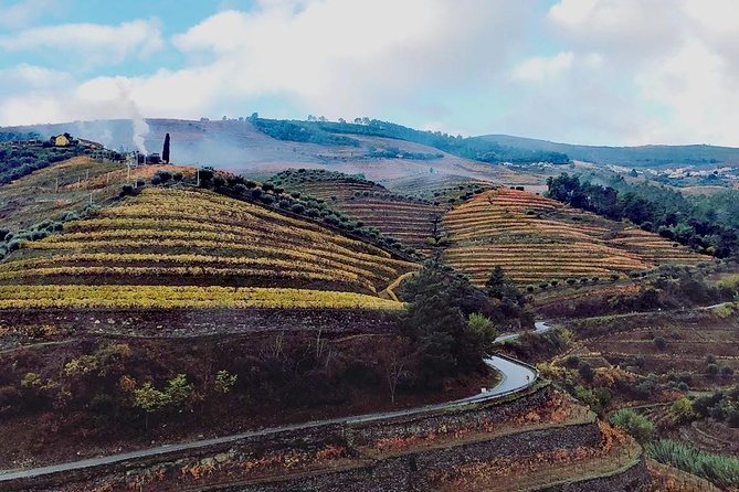 Douro Valley with Two Winery, Boat Trip and Lunch From Porto - What makes this Douro day worth considering