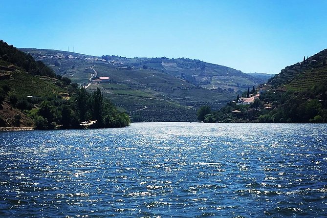 Douro Valley with Two Winery, Boat Trip and Lunch From Porto - The smaller producer and the olive oil tasting