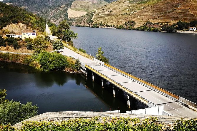 Douro Valley with Two Winery, Boat Trip and Lunch From Porto - The small van makes a real difference
