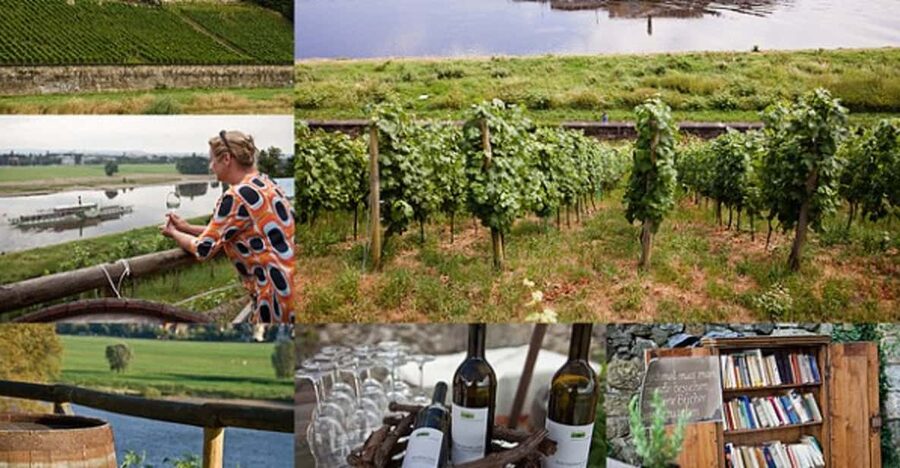 Dresden Bike Tour with Wine Tasting - Is $74 a fair price?