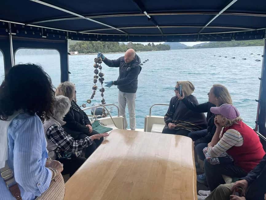 Dubrovnik: Oyster, Mussles, and Wine Tasting Tour in Ston - Eating oysters and mussels on the bay