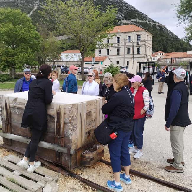Dubrovnik: Oyster, Mussles, and Wine Tasting Tour in Ston - Who will enjoy this half-day outing