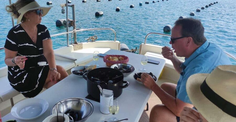 Dubrovnik: Oyster, Mussles, and Wine Tasting Tour in Ston - The Dubrovnik to Ston drive