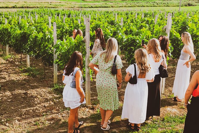 Durrës Countryside Vineyard Experience with Wine & Food Pairing - Walking through the vineyard and winery