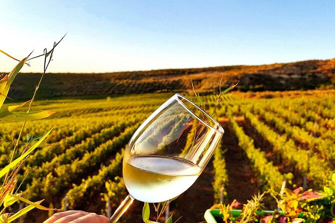 Durrës Countryside Vineyard Experience with Wine & Food Pairing - The 5 p.m. departure from Durrës