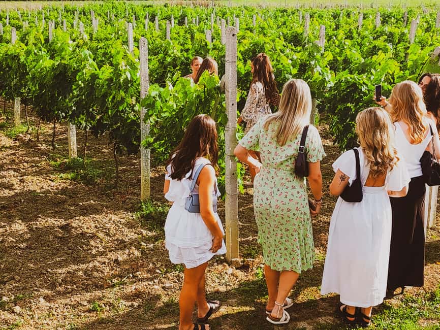Durres Countryside Vineyards Wine Tasting & Food Pairing - Key points to know before booking