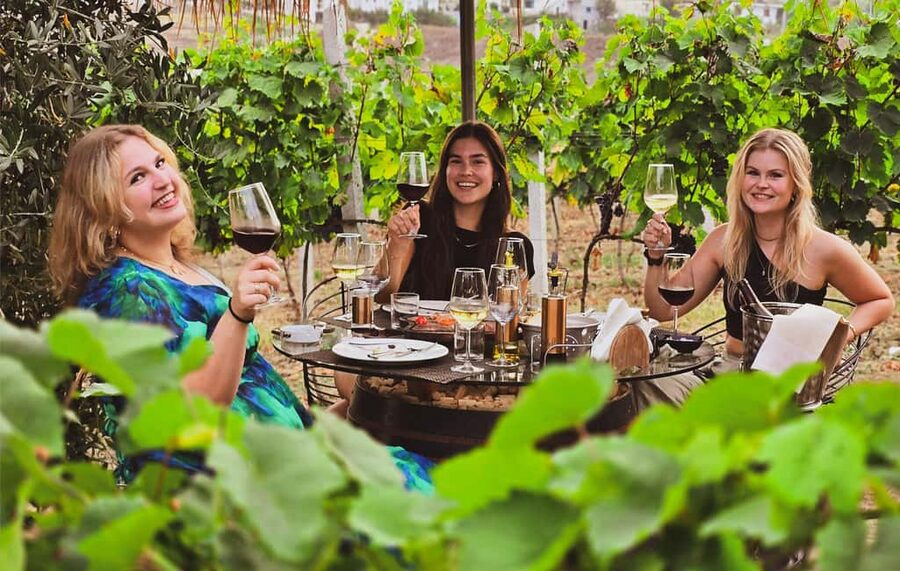 Durres Countryside Vineyards Wine Tasting & Food Pairing - Leaving Durrës for the vineyard hills