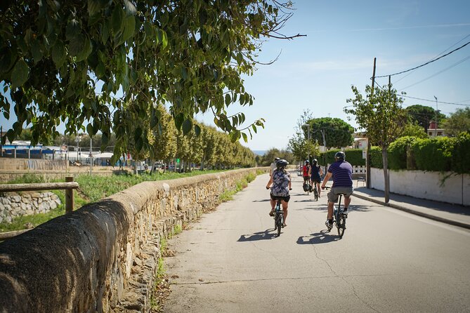 Ebike Tour, Winery, Wine Tasting & Sailing Experience(car option) - Who Should Book This Barcelona Day Trip?