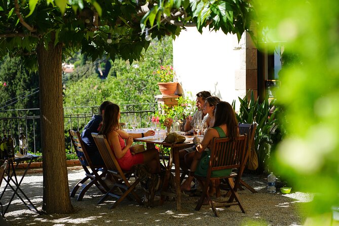 Ebike Tour, Winery, Wine Tasting & Sailing Experience(car option) - Port Masnou and the Sailing Return