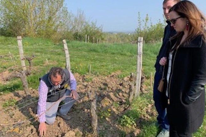 English Speaking Loire Winery Tours originating from Chinon - Three vineyards and a full picnic on the longer option