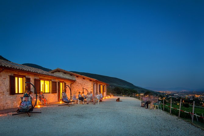 Enjoy and Taste the Flavors of Wine in an Open-air Venue - Key points to know before you book