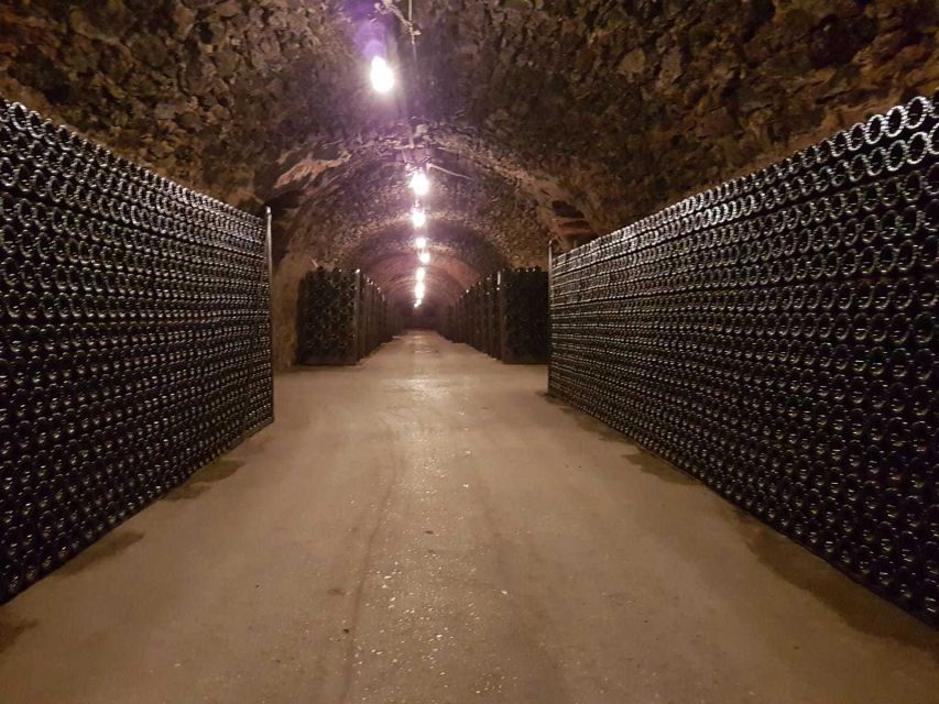 Epernay: Guided Tour of Champagne Cellar with Tastings - Comparing Vollereaux with a major Champagne house