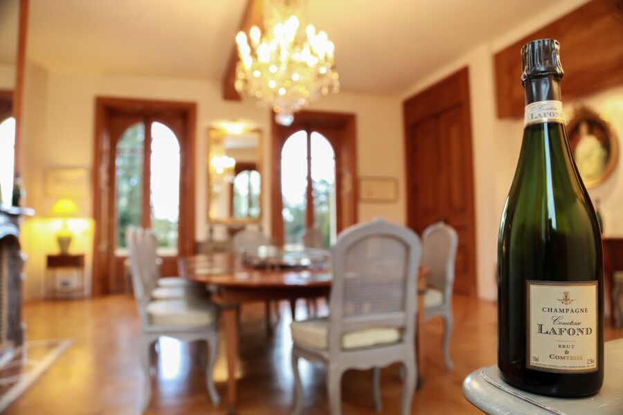 Epernay: Winery and Cellar Tour with Champagne Tasting - What the guide adds to the visit