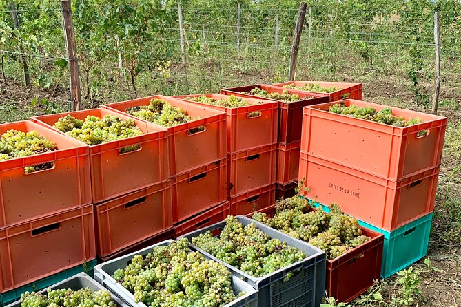 Epicurean Discovery Tour with Wine & Local Specialties - Tasting wine with local specialties in the former stables