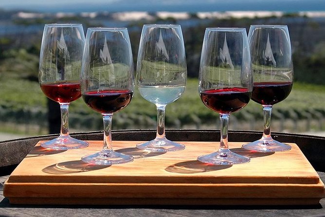 Etna Tour and Lunch in a Winery with Wine Tasting - Who should book this Etna experience?