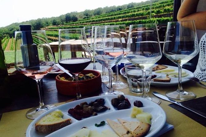 Etna trekking and wine tasting - Who should book this Etna outing?