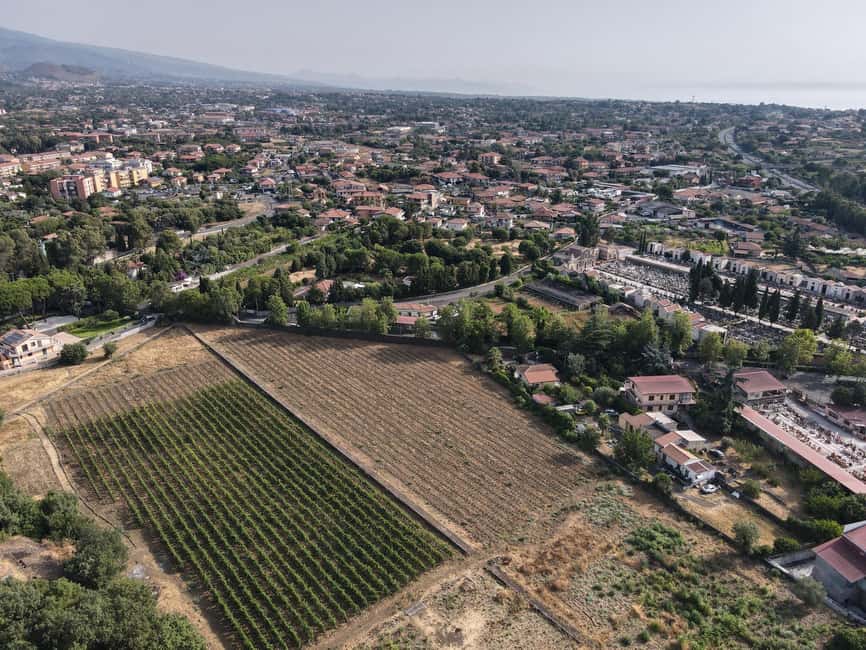 Etna Urban Winery, Vineyard Walk & Sunset Tasting Dinner - The courtyard, garden, and Etna mood