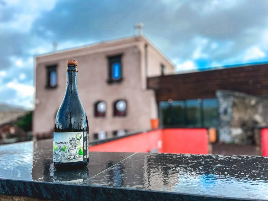 Etna: Wine Tasting and Food Tour - The first winery and the story behind each bottle