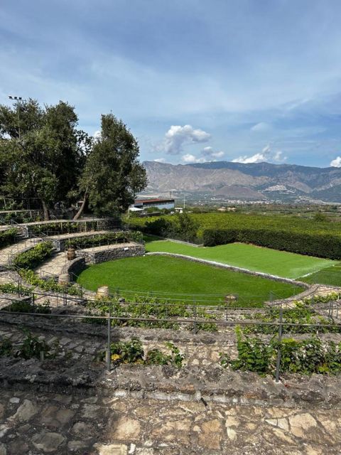 Etna: Wine Tasting and Food Tour - Lunch at the second winery
