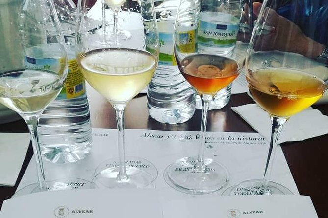 Evening Wine Tasting Córdoba - Tapas that make the glasses easier to understand