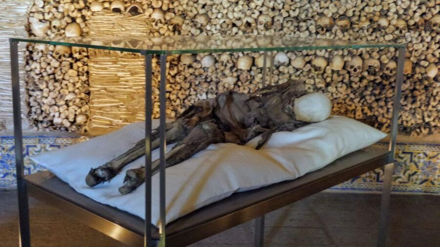 Evora University, Cathedral & Bones Chapel — SkipLine + Wine - Starting at the University of Évora