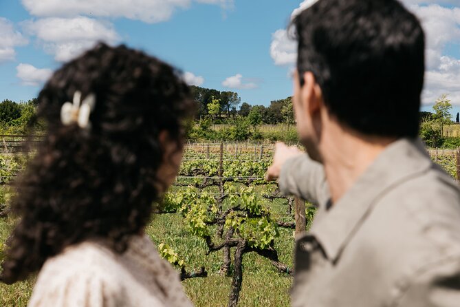 Familia Torres Winery: Gastronomic Tapas & Wine Experience - What the large winery format feels like