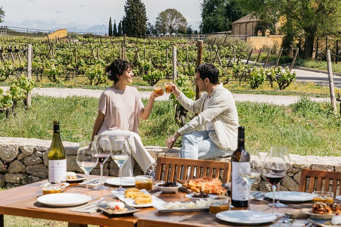 Familia Torres Winery: Gastronomic Tapas & Wine Experience - Time at the shop and the ride back