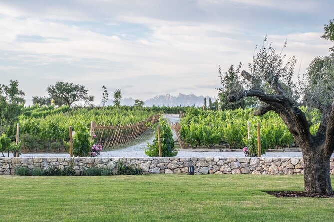 Familia Torres Winery: Gastronomic Tapas & Wine Experience - Is $151.23 a fair price?