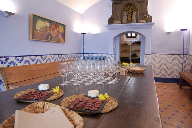 Familia Torres Winery: Gastronomic Tapas & Wine Experience - Who should book this experience?