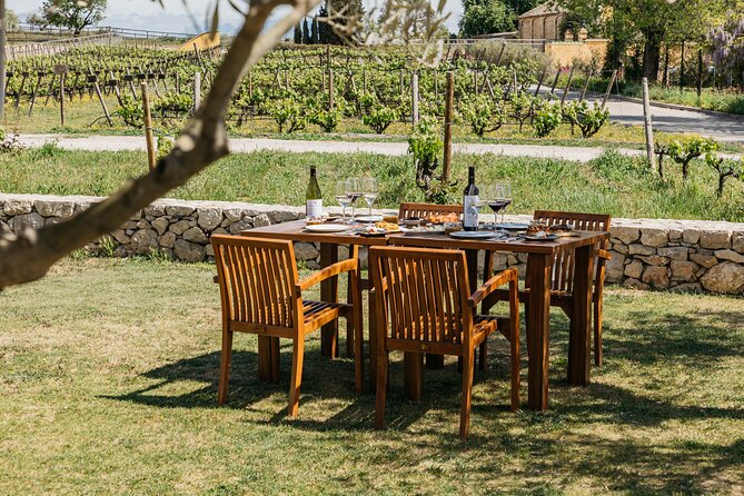Familia Torres Winery: Gastronomic Tapas & Wine Experience - Should you book the Familia Torres wine experience?